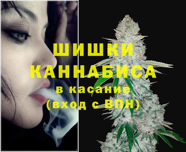 гидропоника Гусь-Хрустальный