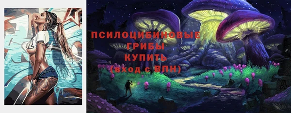 спайс Гусиноозёрск