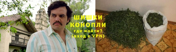 гидропоника Гусь-Хрустальный