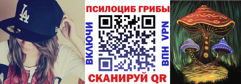 Купить  Карталы  Псилоцибиновые грибы Psilocybine cubensis 